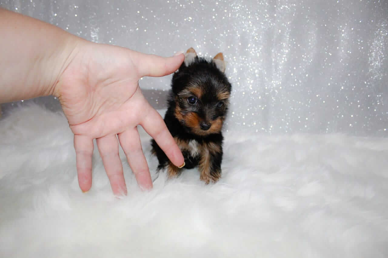 WhatsApp Image 2025-12-03 at 14.34.01_0a9ae76a