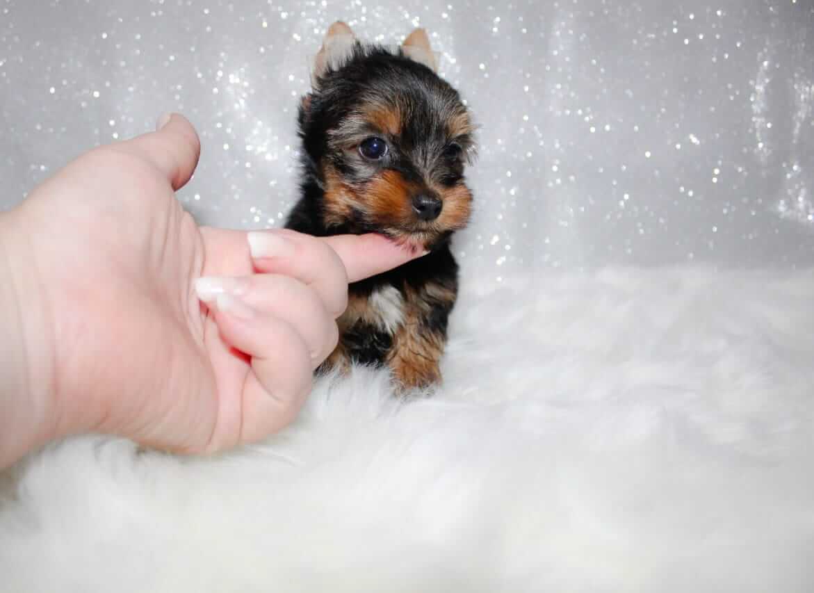 WhatsApp Image 2025-12-03 at 14.34.02_b657c0c8